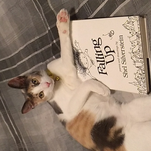 Falling Up Hardcover Poem Book - Picture 8 of 8